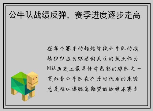 公牛队战绩反弹，赛季进度逐步走高